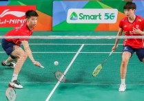 中国羽毛球公开赛 羽毛球巅峰对决李宗伟