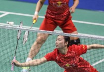 中国羽毛球大师赛 世界公认的羽毛球大赛