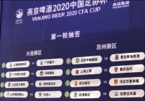 中国足协杯 中国足协杯历届冠军2020