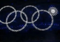 2014冬奥会 2014年索契冬奥会中国排名