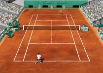 2013法网赛程 网球的大满贯比赛有哪些