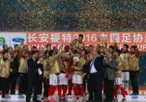 2012中国足协杯 中国足球协会甲级联赛官网