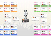 2012年欧洲杯分组 2012欧洲杯比分图