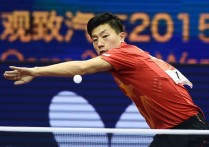 2015世乒赛 世乒赛中国共夺几块金牌