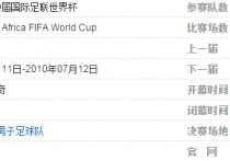 2010世界杯足球 2010世界杯十六强排名